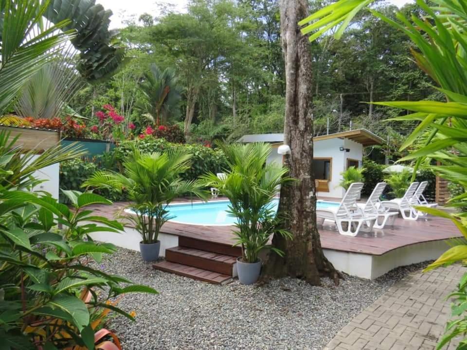 Alloro Jungle Villas Puerto Viejo de Talamanca Exterior photo