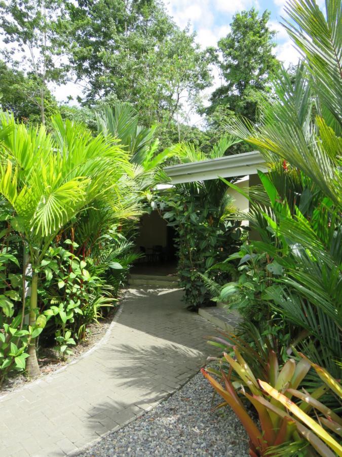 Alloro Jungle Villas Puerto Viejo de Talamanca Exterior photo
