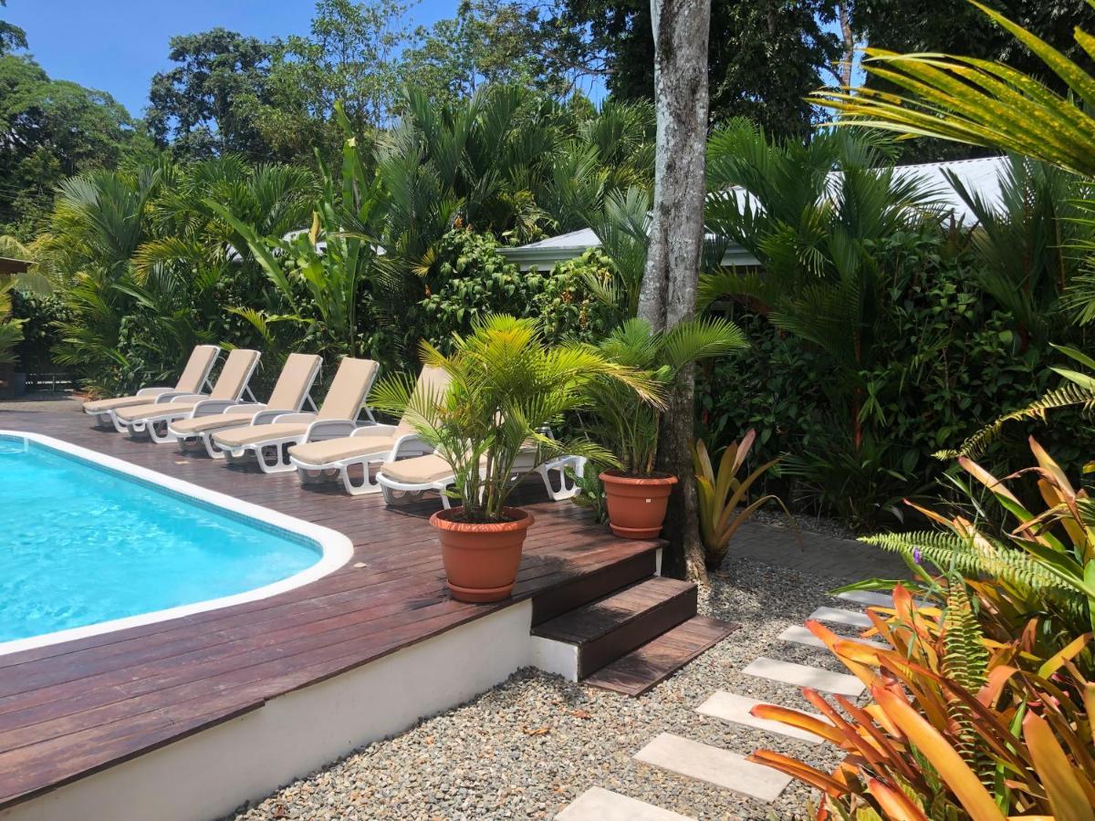 Alloro Jungle Villas Puerto Viejo de Talamanca Exterior photo