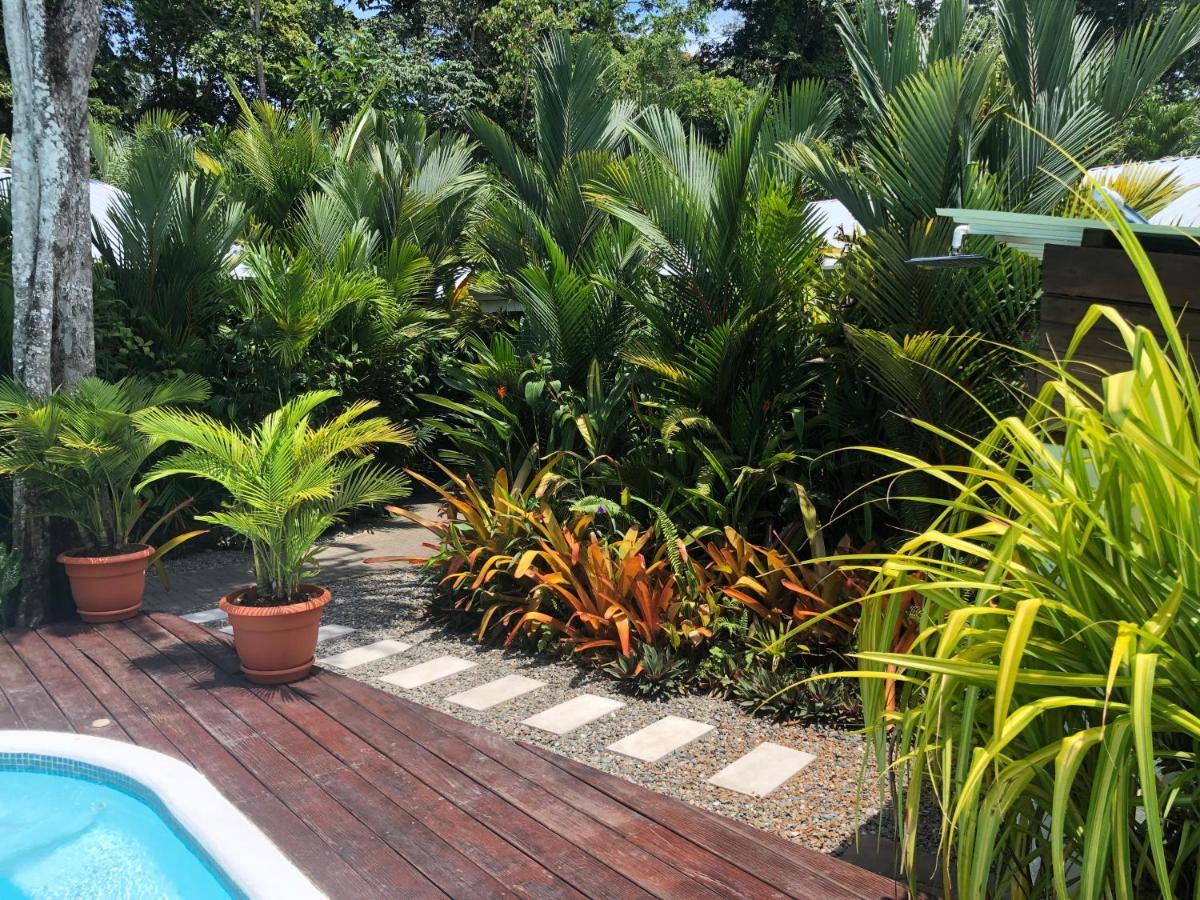 Alloro Jungle Villas Puerto Viejo de Talamanca Exterior photo